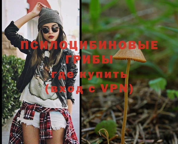 mix Новодвинск